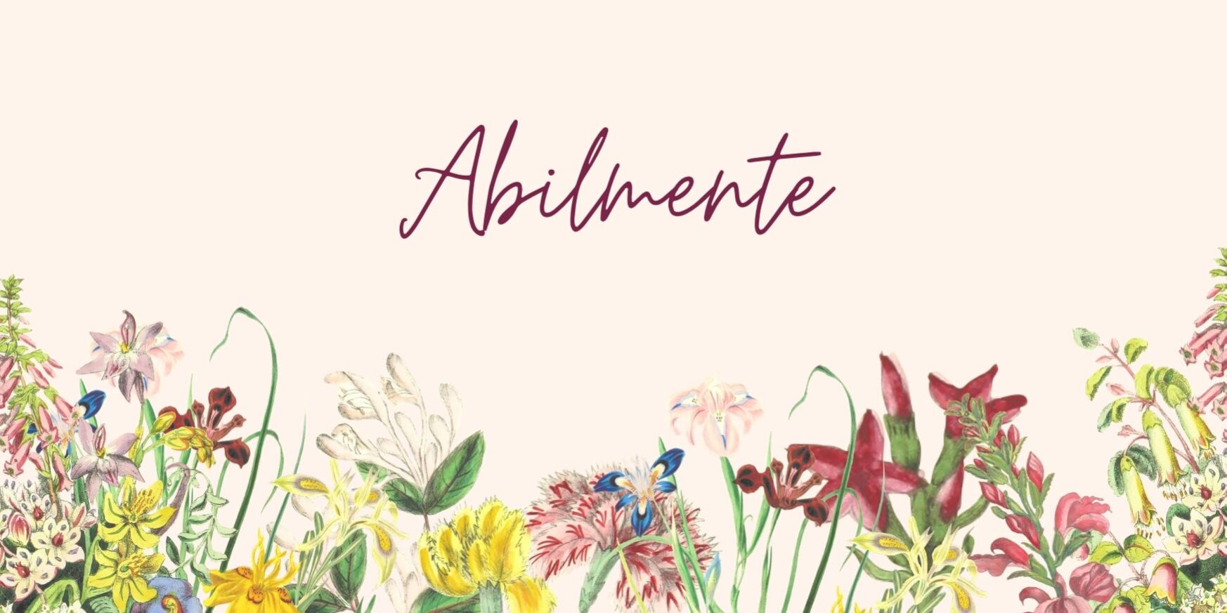 abilmente abilmente recensioni